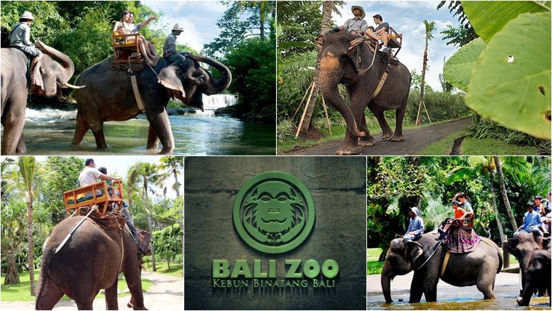 Bali Zoo